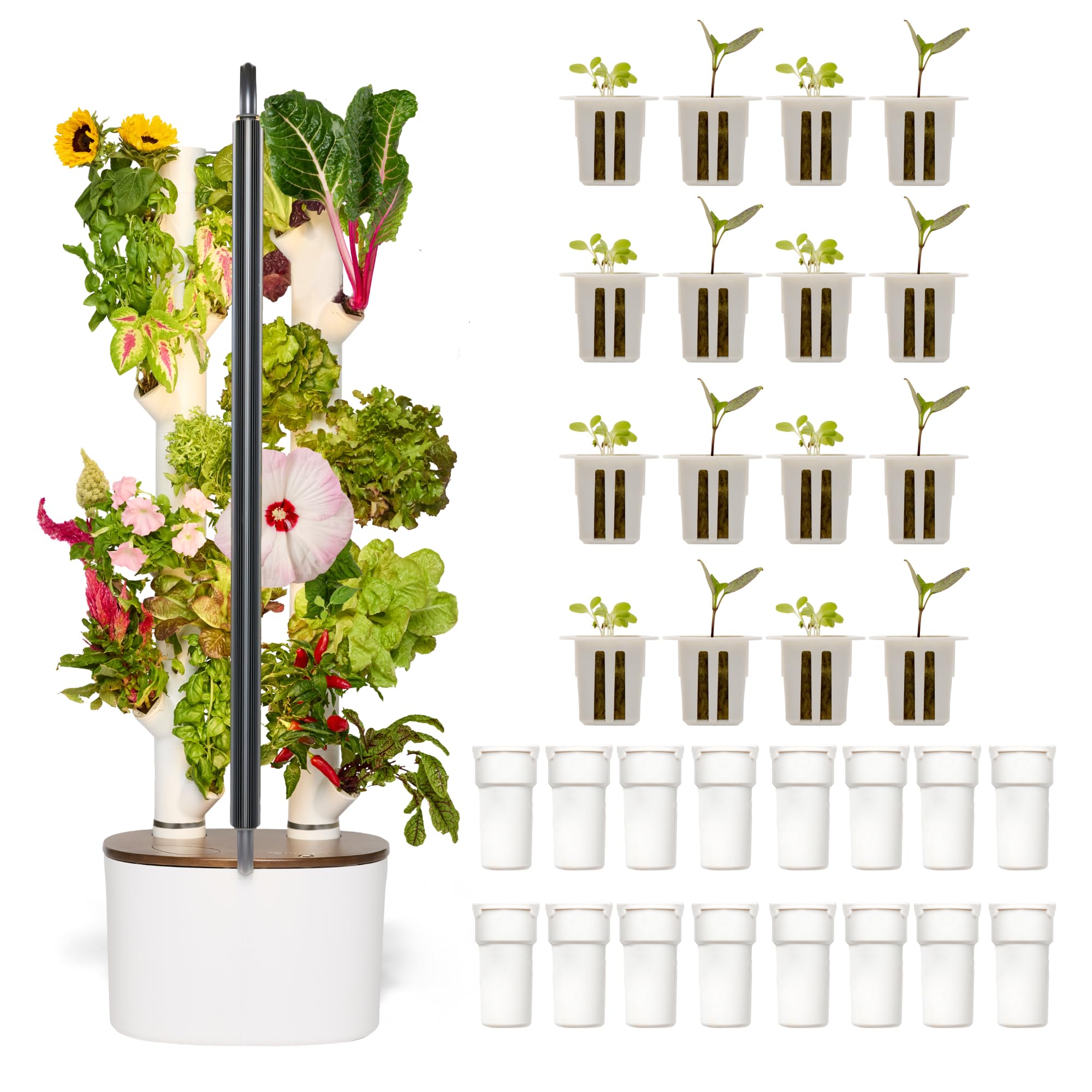 Amazon.com: New & Improved! Gardyn Studio 2 Hydroponics Growing